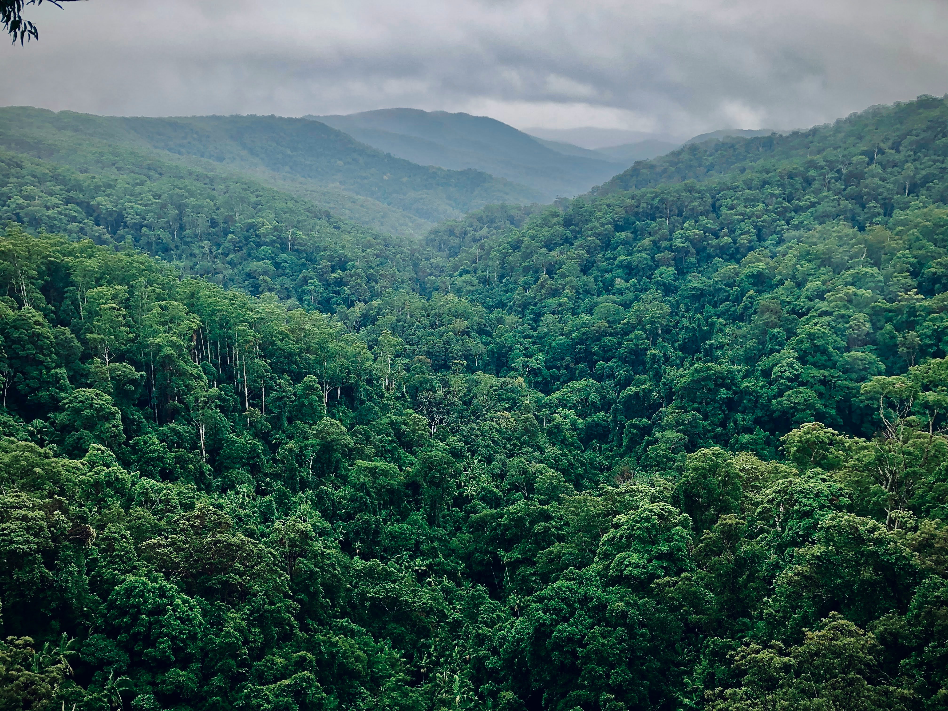 Nature & Forest Gateways — Kanha National Park